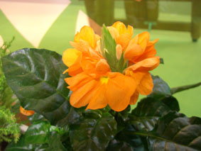 060807.jpg
