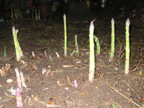 080411.jpg