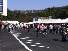 081018.jpg