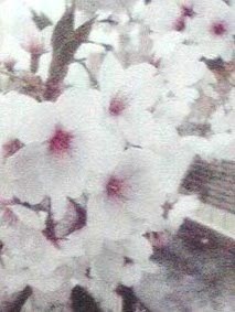 090410.jpg