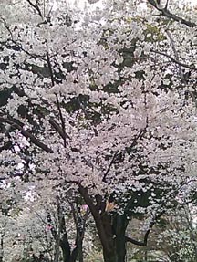 100410.jpg