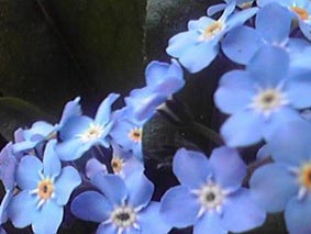 100417_1.jpg