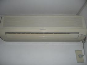1107181.jpg