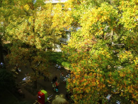 121013.jpg