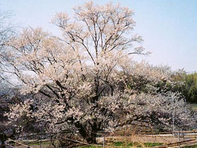 070228.jpg