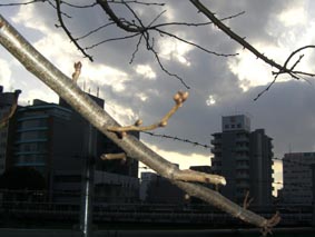 080302.jpg
