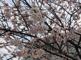 080403.jpg
