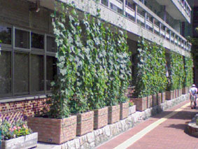 080620.jpg