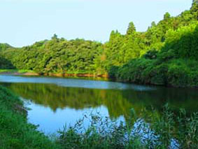 080712.jpg