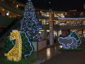 081128.jpg