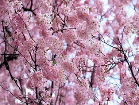 090405.jpg