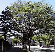 090416-1.jpg