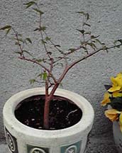 090416-2.jpg