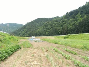 090727.jpg