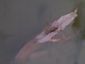 100519_1.jpg