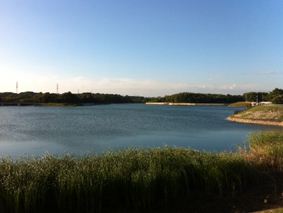 120821.jpg